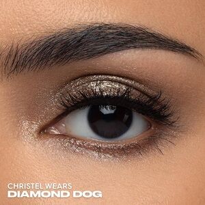 Urban Decay-24/7 MOONDUST GLITTER EYESHADOW SINGLE Diamond Dog